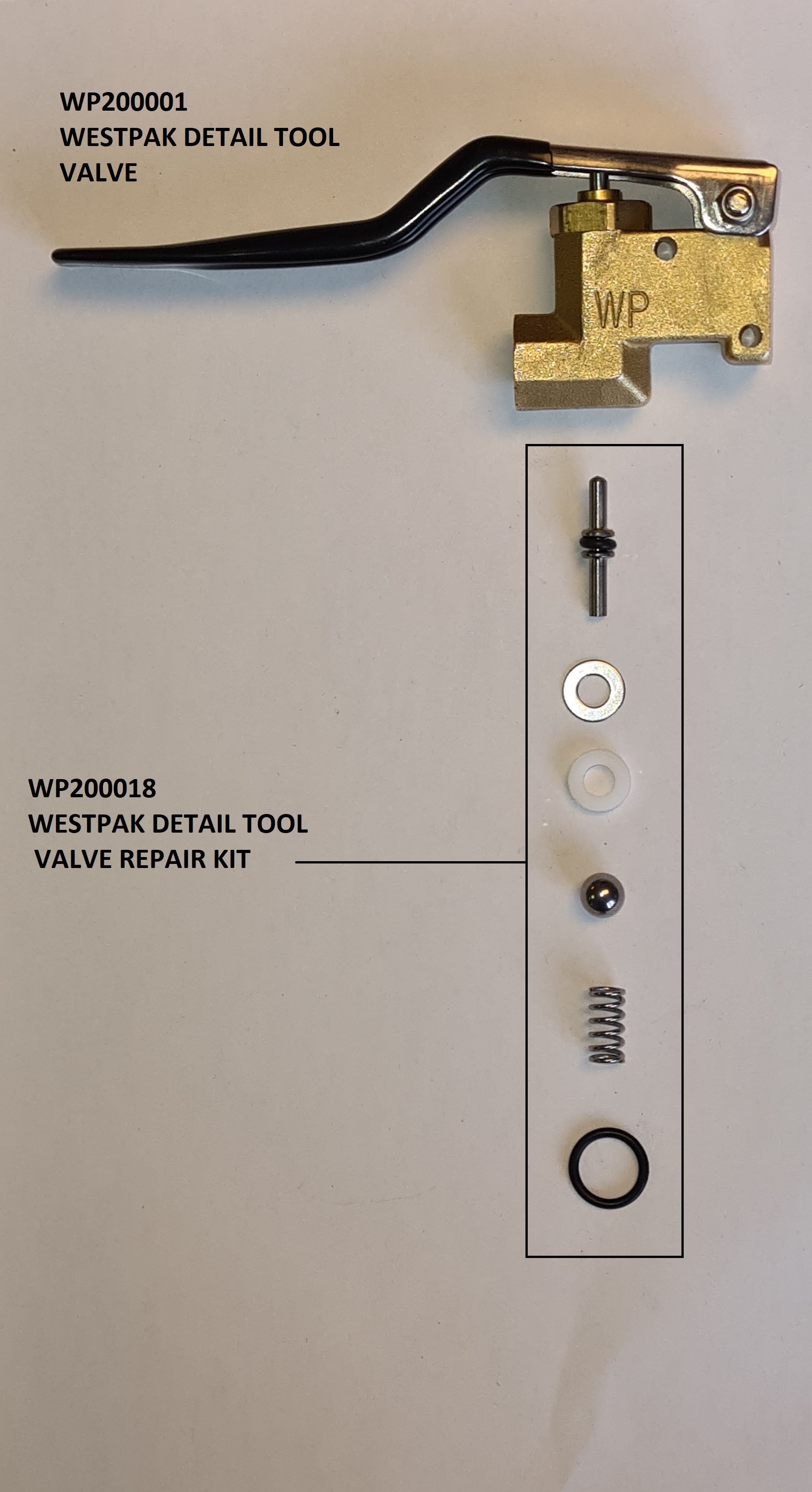 Prochem WP200018 WESTPAK DETAIL TOOL VALVE REPAIR KIT